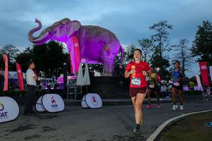 BIB: 
                            <button type="button" onclick="openModal(26529708)" class="btn btn-primary btn-sm float-right btn-popup" data-toggle="modal" data-target=".modal-high-quality">
                        <i class="fas fa-shopping-cart"></i> Add to Cart
                    </button>
                                            <button type="button" onclick="isThisMe(26529708, true)" class="btn btn-success btn-sm float-right btn-popup btn-isme hidden" data-toggle="tooltip" data-placement="bottom" title="นี่คือรูปของคุณใช่ไหม คลิกที่นี่เพื่อเอาเข้าอัลบั้ม">
                        <i class="fas fa-plus"></i> Add to album
                    </button>
                    <button type="button" onclick="isThisMe(26529708, false)" class="btn btn-warning btn-sm float-right btn-popup btn-isnotme hidden">
                        <i class="fas fa-ban"></i> Remove from album
                    </button>